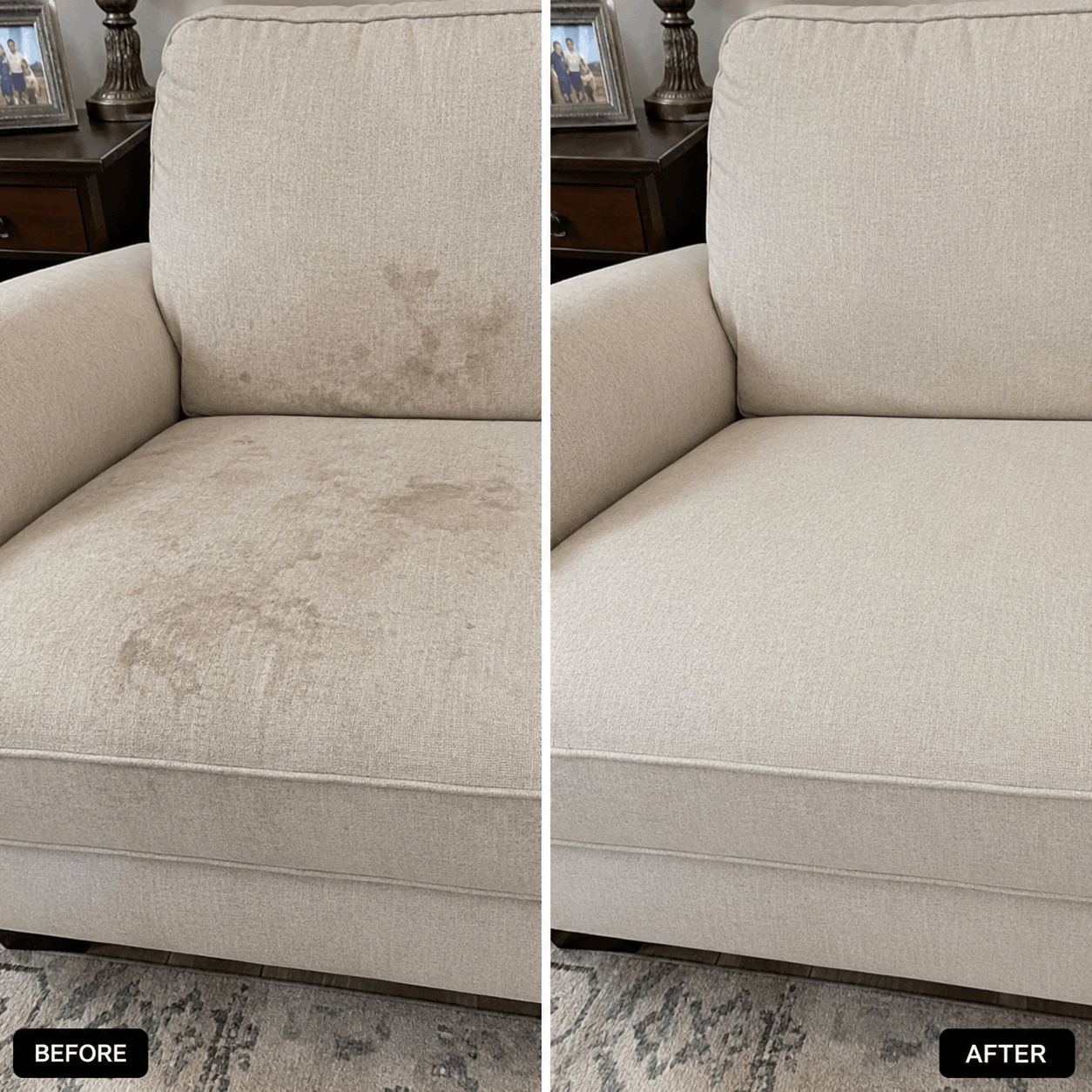 Before & After Pet Hair Cleaning