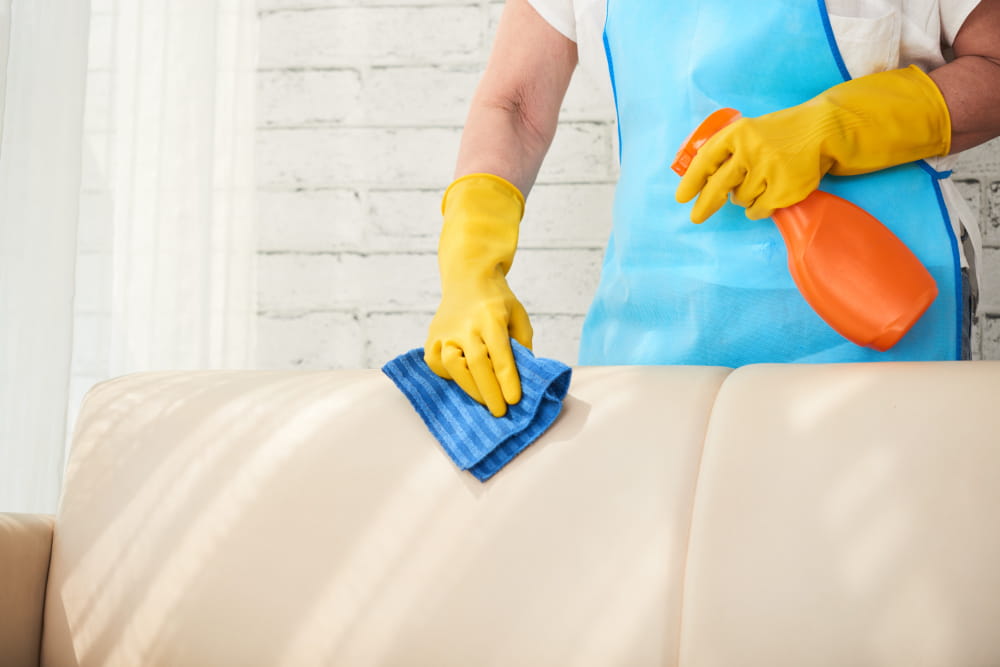 Professional Couch Cleaning Near Me