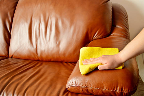 Professional Couch Cleaning